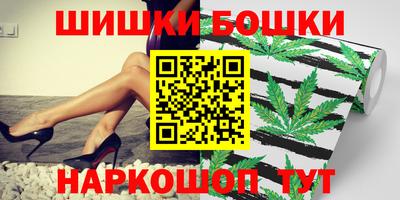 индика Кулебаки