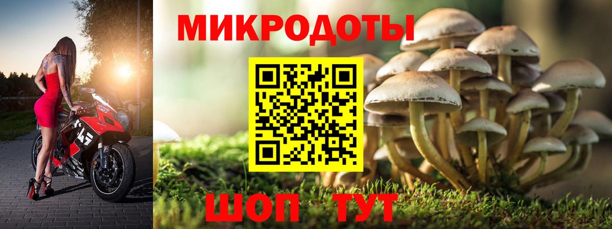 Жигулёвск  купить   Вход с VPN  Галлюциногенные грибы мухоморы 